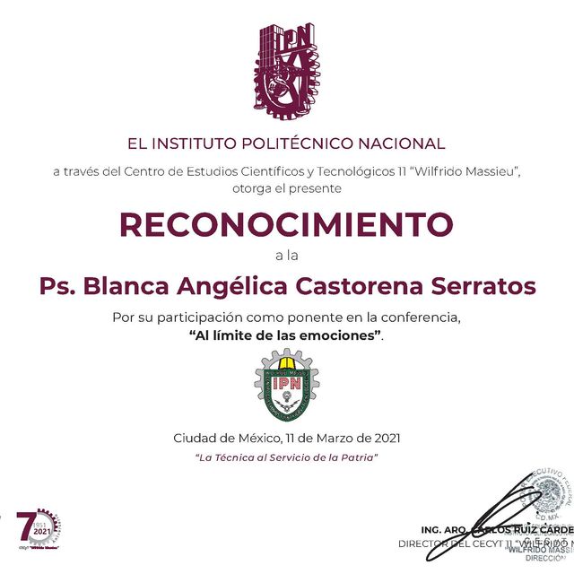 Ampliar imagen: certificate 3