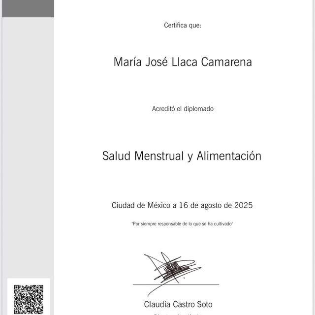 Ampliar imagen: certificate 3