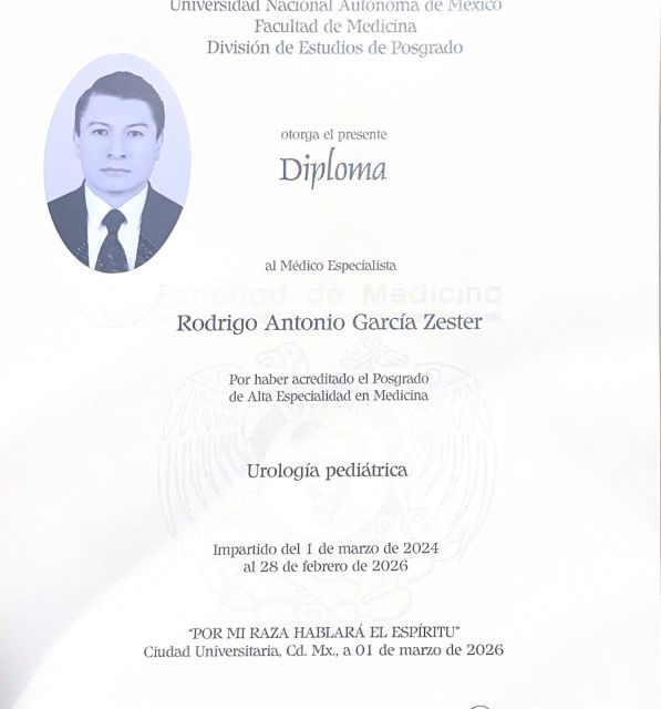 Ampliar imagen: certificate 1