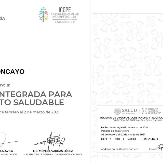 Ampliar imagen: certificate 11