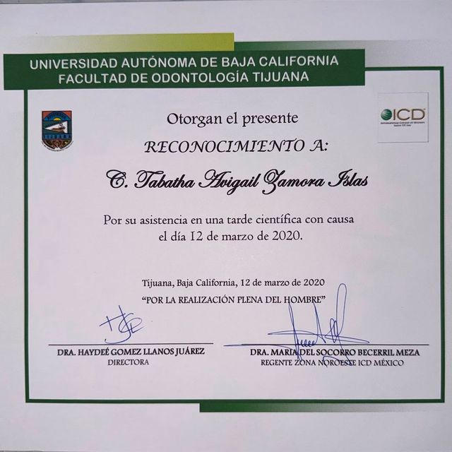 Ampliar imagen: certificate 3