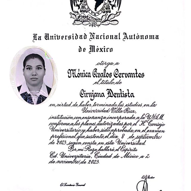 Ampliar imagen: certificate 8