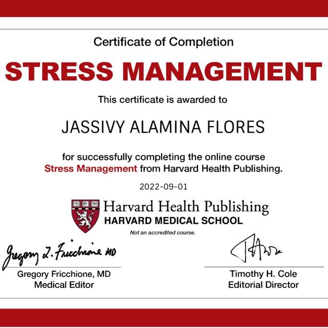 Ampliar imagen: certificate 4