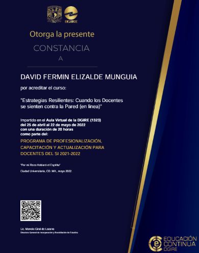 Ampliar imagen: certificate 12