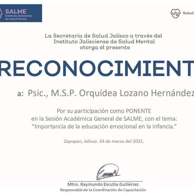 Ampliar imagen: certificate 12