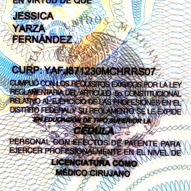 Ampliar imagen: certificate 3