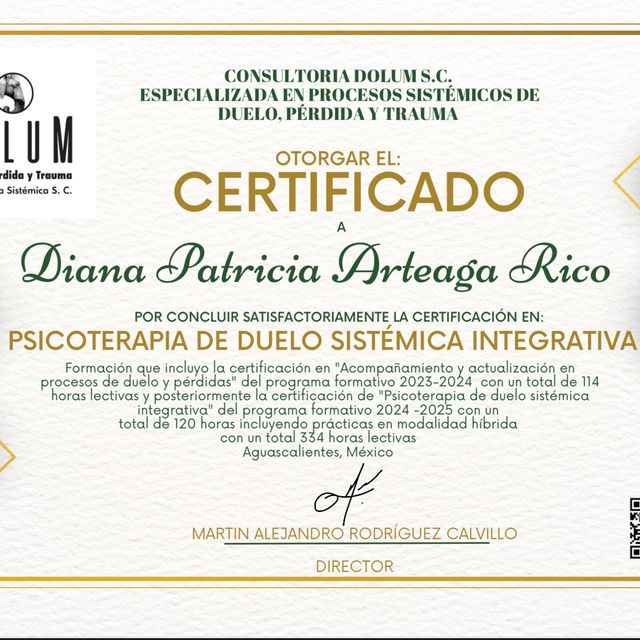 Ampliar imagen: certificate 5