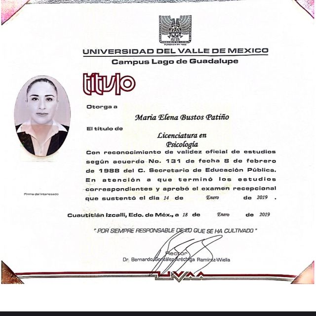 Ampliar imagen: certificate 1