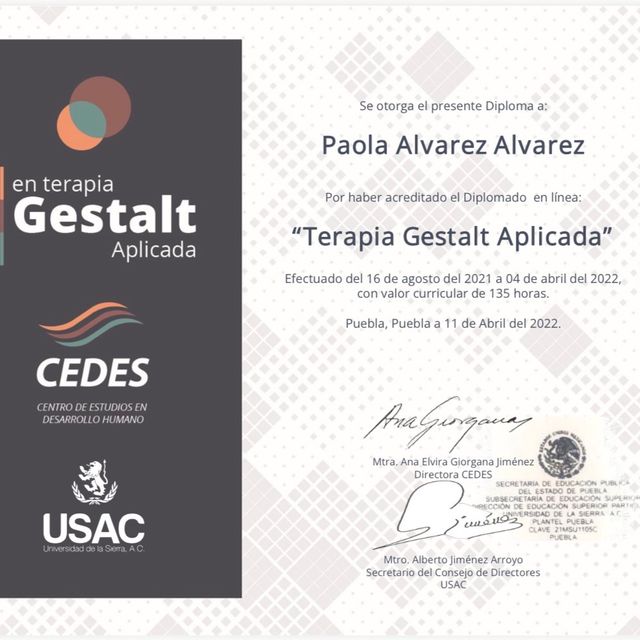 Ampliar imagen: certificate 5