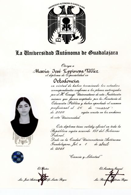 Ampliar imagen: certificate 2