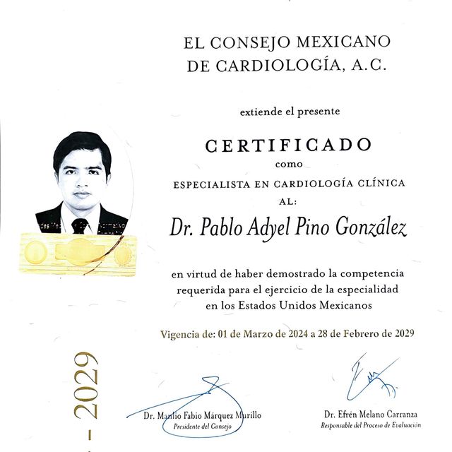 Ampliar imagen: certificate 1