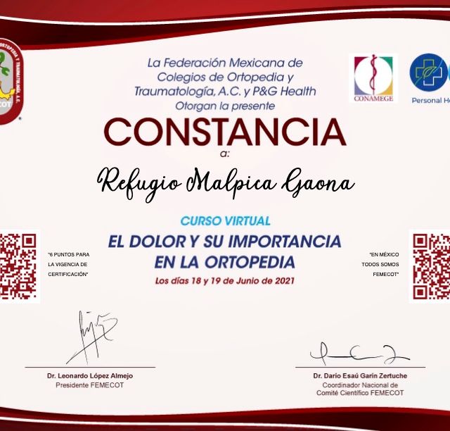 Ampliar imagen: certificate 5