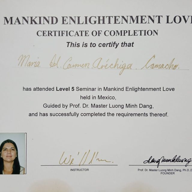 Ampliar imagen: certificate 3