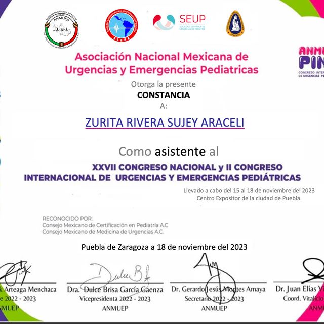Ampliar imagen: certificate 4