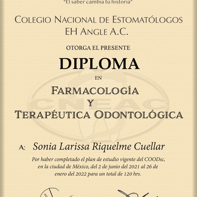 Ampliar imagen: certificate 2