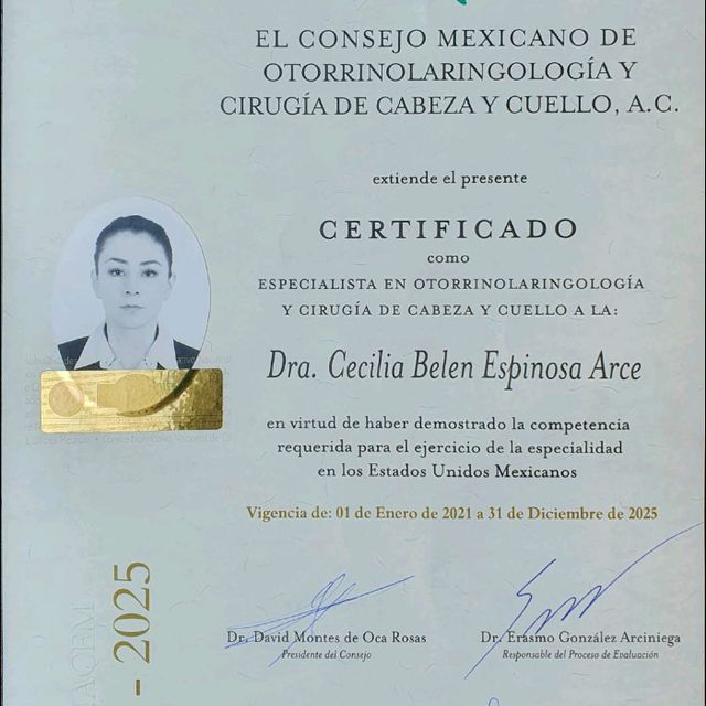 Ampliar imagen: certificate 4