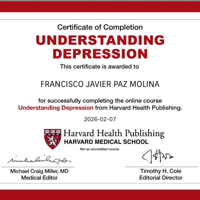 Ampliar imagen: certificate 5