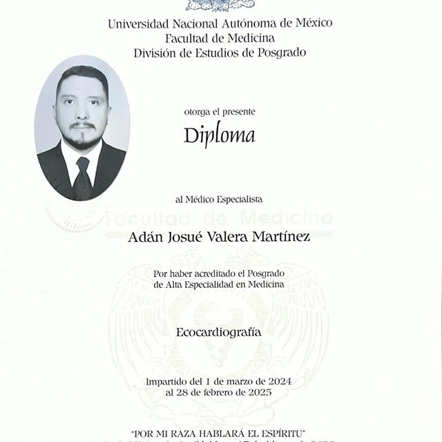 Ampliar imagen: certificate 3
