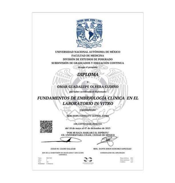 Ampliar imagen: certificate 2