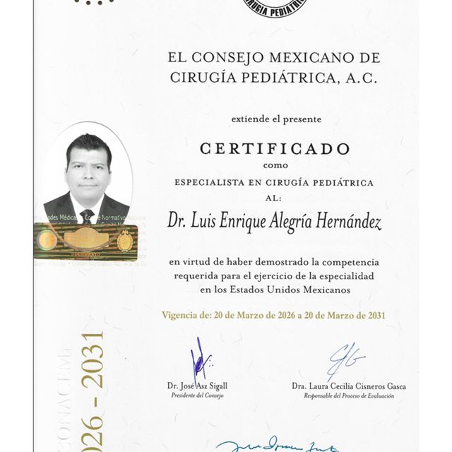 Ampliar imagen: certificate 2