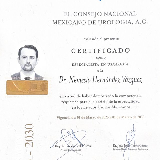 Ampliar imagen: certificate 2