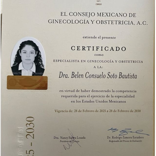Ampliar imagen: certificate 1
