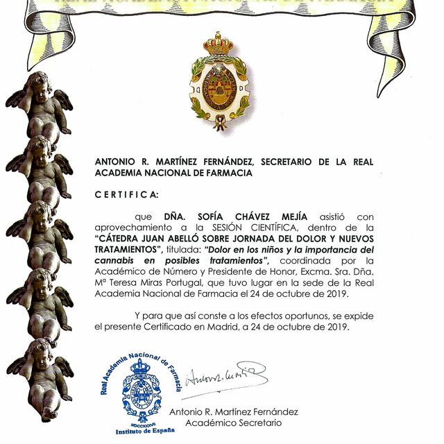 Ampliar imagen: certificate 2