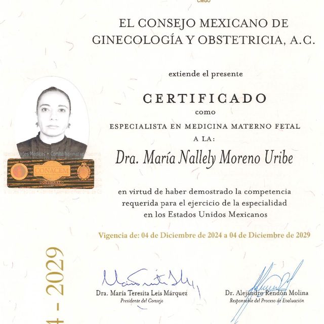 Ampliar imagen: certificate 6