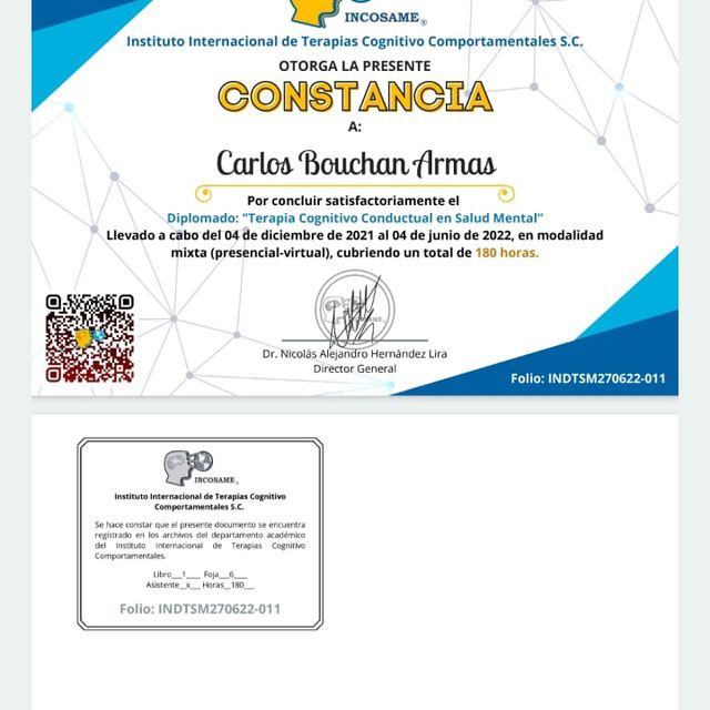 Ampliar imagen: certificate 1