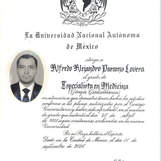 Ampliar imagen: certificate 2