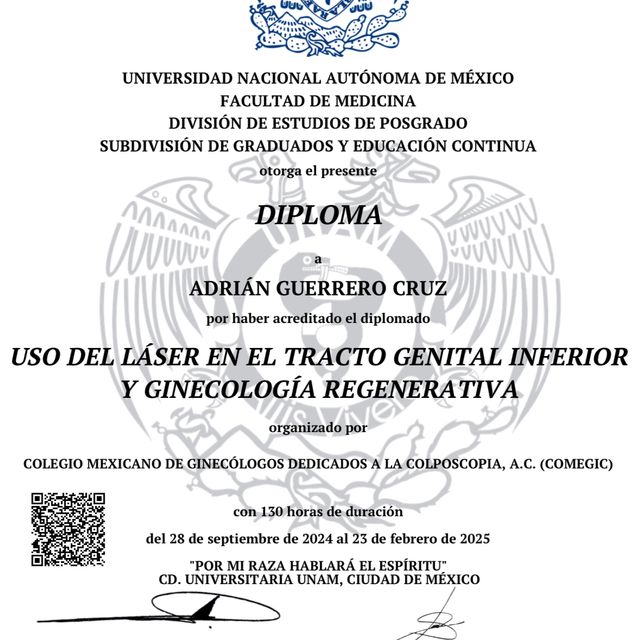 Ampliar imagen: certificate 5