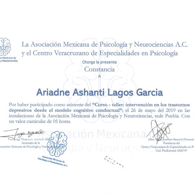 Ampliar imagen: certificate 19