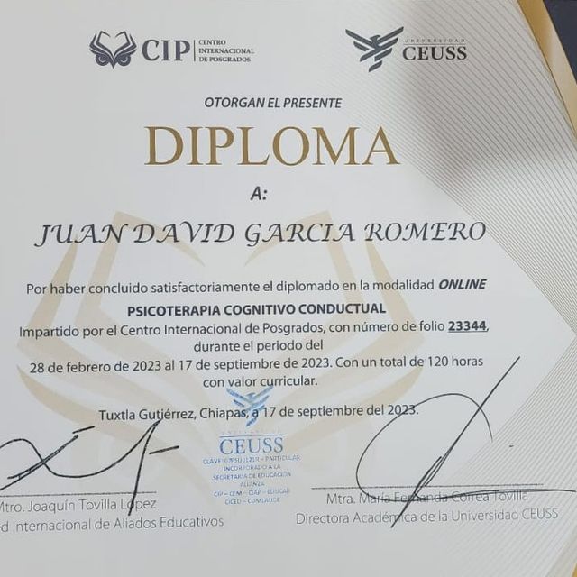 Ampliar imagen: certificate 13