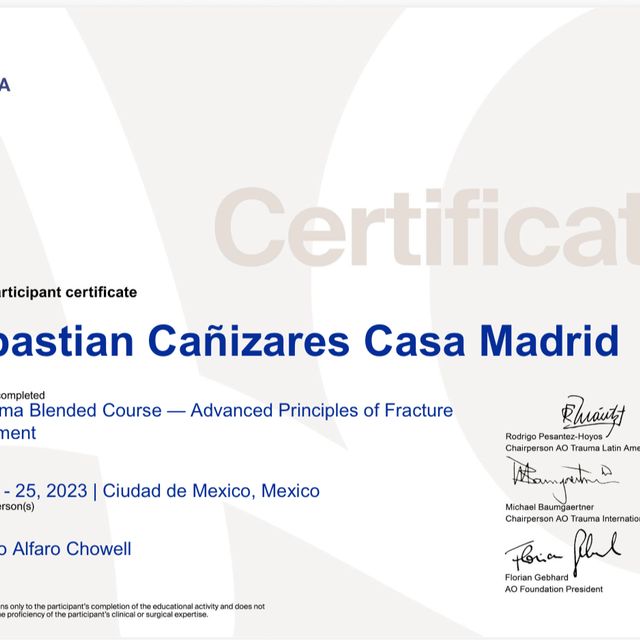 Ampliar imagen: certificate 2