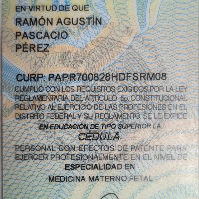 Ampliar imagen: certificate 3