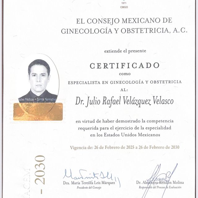 Ampliar imagen: certificate 14
