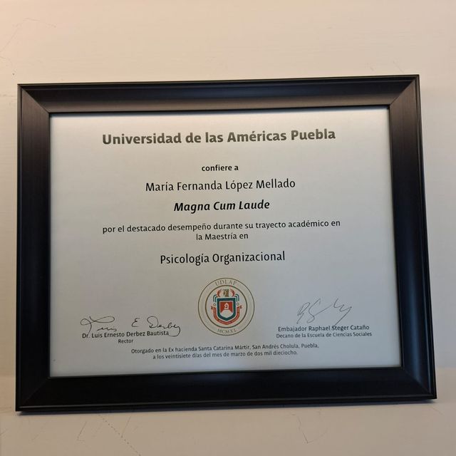 Ampliar imagen: certificate 2