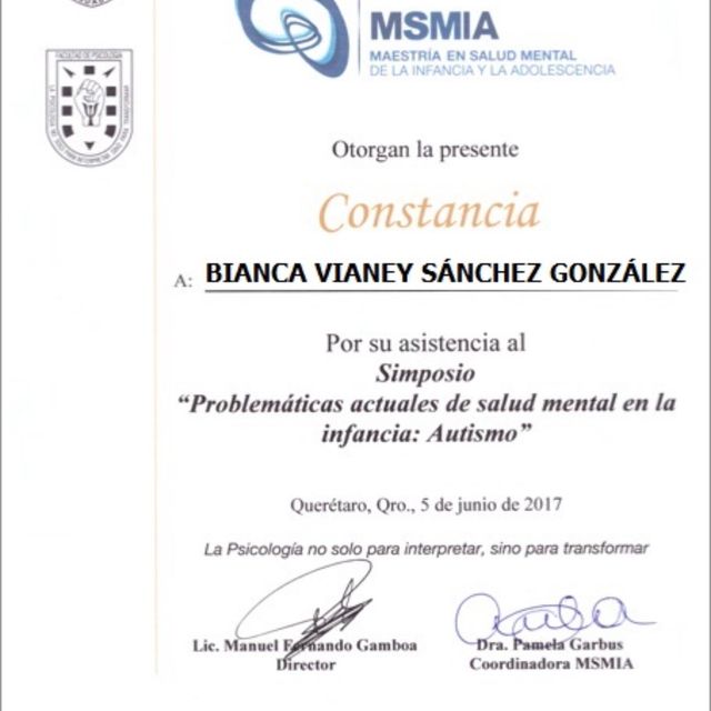 Ampliar imagen: certificate 5