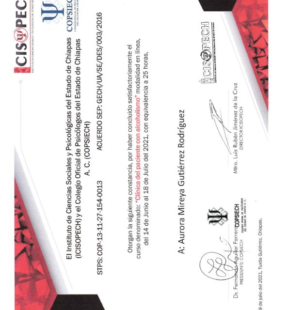 Ampliar imagen: certificate 5