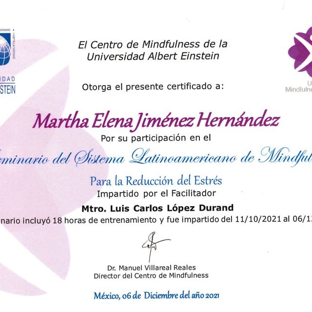 Ampliar imagen: certificate 2