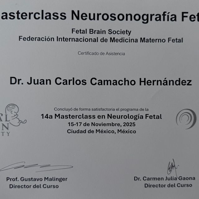 Ampliar imagen: certificate 4
