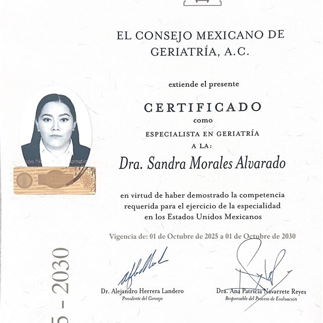 Ampliar imagen: certificate 1