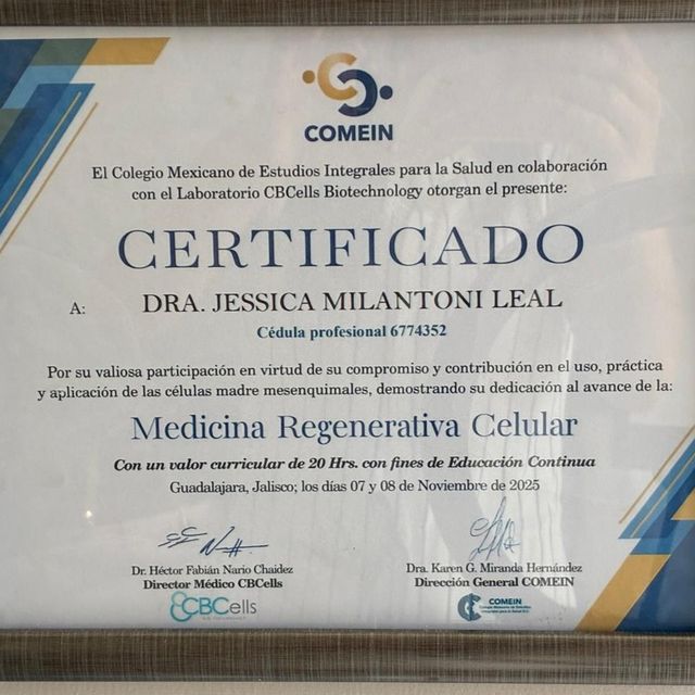 Ampliar imagen: certificate 3