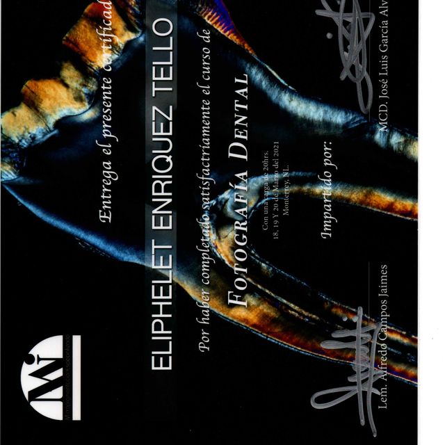 Ampliar imagen: certificate 5