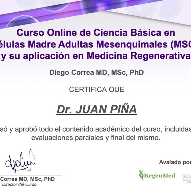 Ampliar imagen: certificate 5