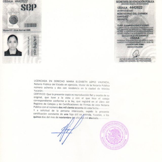 Ampliar imagen: certificate 5