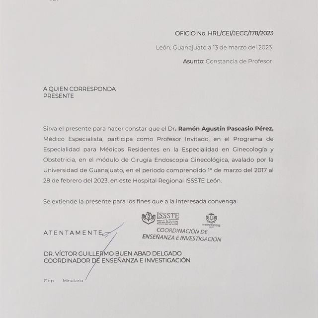 Ampliar imagen: certificate 29