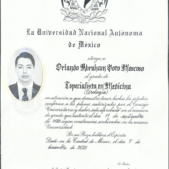 Ampliar imagen: certificate 2