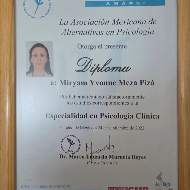 Ampliar imagen: certificate 3