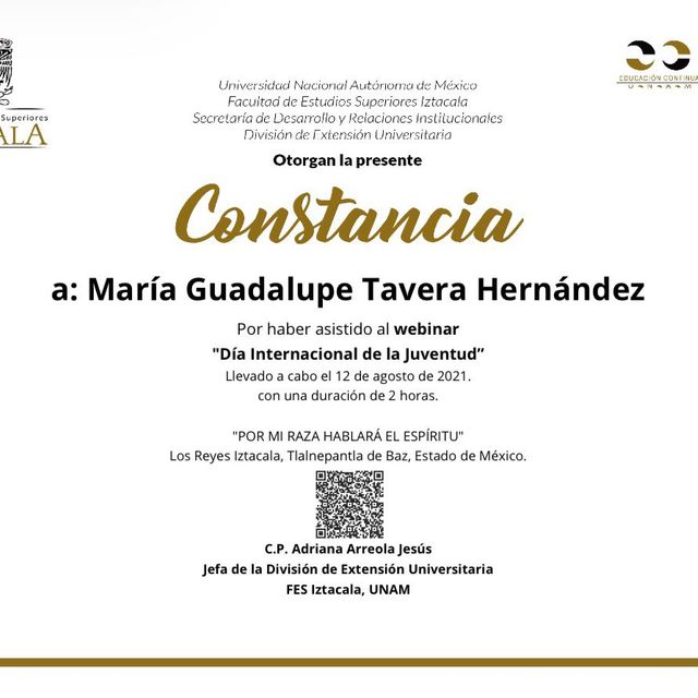 Ampliar imagen: certificate 50